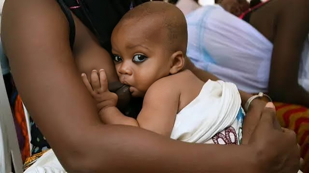 Le colostrum, premier aliment du nouveau-né dès les premières heures